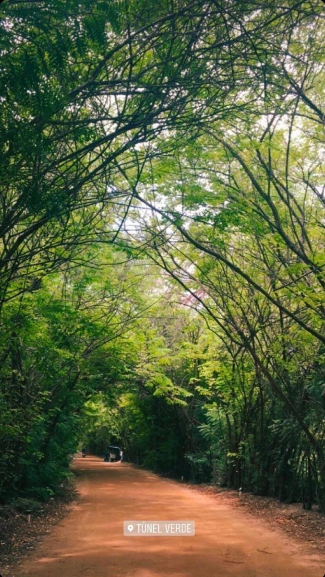 Casa Conchas Do Patacho Βίλα Pôrto de Pedras Εξωτερικό φωτογραφία